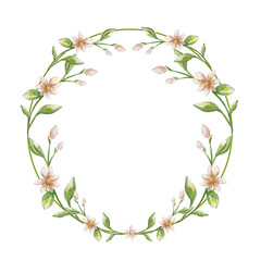 Flowers Frame Pink Purple Yellow Rose Flowers for Spring Wallpaper Floral Border Greeting Birthday Wedding Background