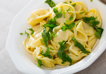 Delicious appetizing dumplings with parsley. High quality photo