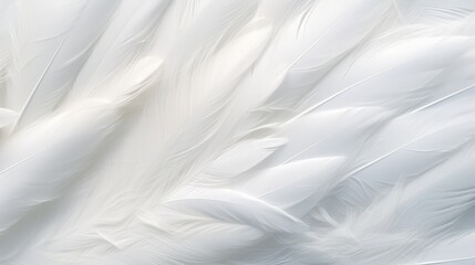 Obraz premium White Feather Closeup with Calm Background Symbolizing Peace Hope and Spirituality Ai Generated