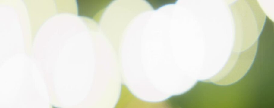 Large oval bokeh from flashing lights