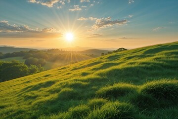 Fototapeta premium Sunlit Grassy Hill in Tranquil Summer Landscape