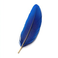 Vibrant Azure Feather: Isolated studio shot showcases a single, striking azure feather. Its detailed texture and gradient hues evoke a sense of lightness and grace.