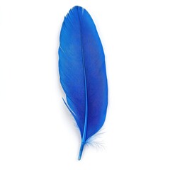 Serene Blue Feather: A single, vibrant blue feather gracefully rests, evoking a sense of tranquility and lightness, against a clear, uncluttered space.