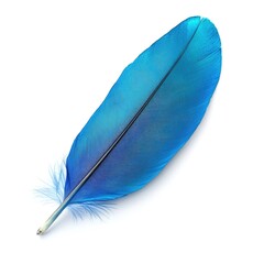 Feather of Vivid Blue: A vibrant, single blue feather rests delicately, showcasing the intricate details and soft texture of its barbs.
