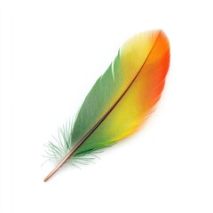 Colorful Feather: A vibrant and beautifully colored feather, with a gradient of green, yellow, and orange, lies gently against a clean and bright backdrop, showcasing its intricate details.