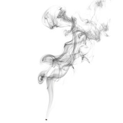 Flowing wisps of smoke rising gracefully in an abstract design against a transparent background