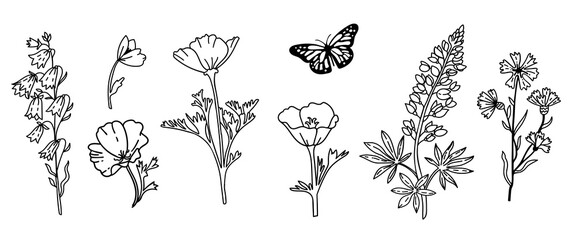 Set with meadow flowers. Line art. Vector illustration