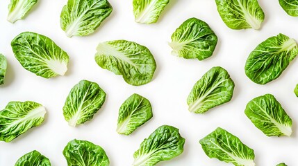 Pattern with romaine leaves arranged on white