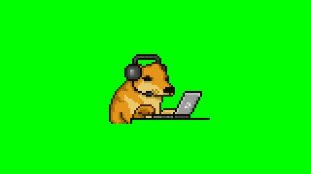 Dog working or playing on the computer, pixel art meme animation 