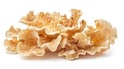 Dried snow fungus Tremella fuciformis isolated
