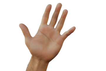 Open hand or male palm isolated on transparent background