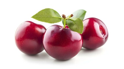 red cherry plum with green leaves isolated