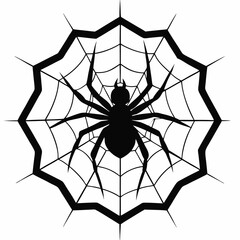 Obraz premium spider on a web