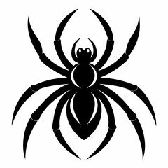 spider on a white background