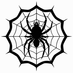 Fototapeta premium spider and web