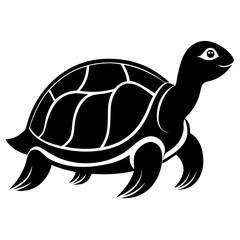 turtle vector illustration