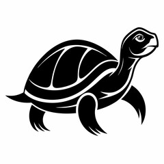 turtle vector illustration