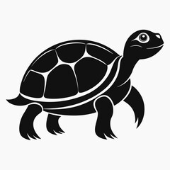 turtle vector illustration