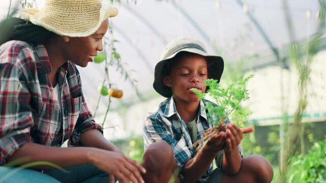 Agriculture, mother and son in farm greenhouse for learning, planting crops or sustainability. Black family, development and farming with parent teaching child how to harvest organic herb growth