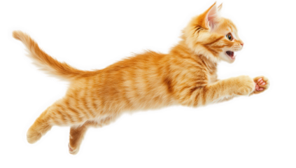 a playful orange kitten leaps joyfully in mid-air showcasing its agility and curiosity. essence of youthful energy and the playful nature of cats