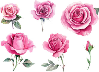 seamless pattern with roses