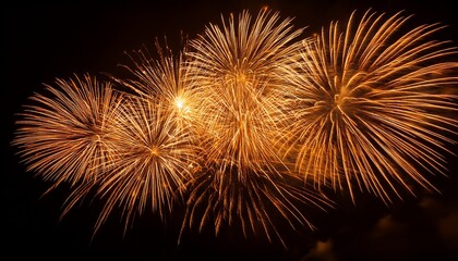 Obraz premium orange firework on black background