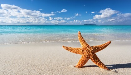 starfish on sandy beach with gentle waves and clear turquoise water under a blue sky with scattered clouds