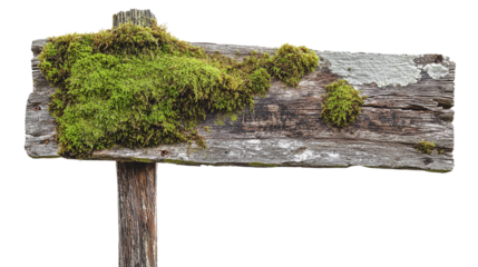 Weathered wooden sign with moss, cut out. Isolated on a transparent background.