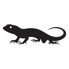 lizard on white background