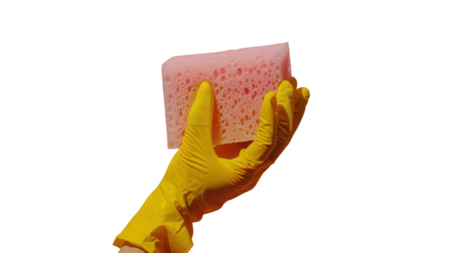 Hand wearing yellow glove holding pink cleaning sponge on transparent background