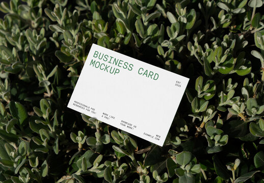 Business Card on a Bush Mockup