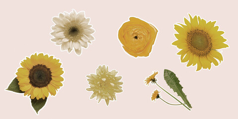 Set of beautiful flowers on light background © Pixel-Shot