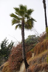 Laguna Beach, CA - Gorgeous Beach Views