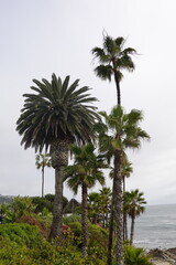 Laguna Beach, CA - Gorgeous Beach Views