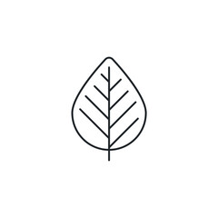 Leaf icon symbol vector illustration isolated on white background