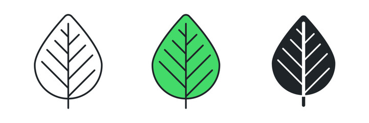 Leaf icon symbol vector illustration isolated on white background