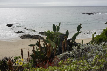 Laguna Beach, CA - Gorgeous Beach Views