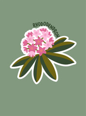 Rhododendron flower. Vector illustration for print, decor, logo