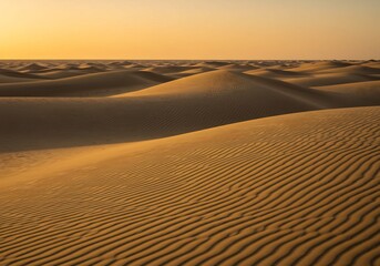 Naklejka premium Golden Desert Dunes Sunset Warm Light. AI Generated