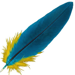 Blue and yellow feather PNG: A high-quality image of a colorful bird feather isolated on a transparent background
