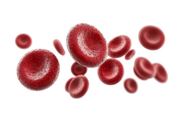 Realistic depiction of red blood cells in three-dimensional view