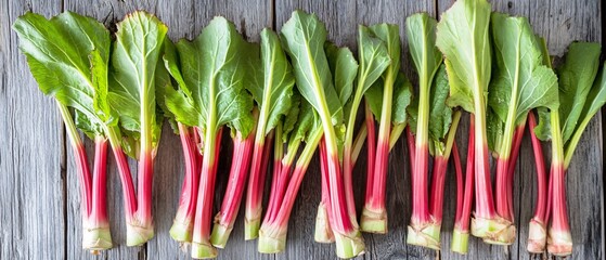 Organic Fresh Rhubarb Stalks Arranged Against Weathered Wooden Surface