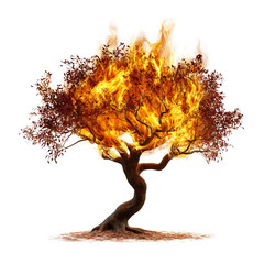 A Burning Bush Tree with Fire Isolated on Transparent Background