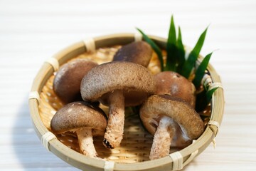 香り豊かなしいたけ
