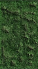 Green moss covers rocks and soil creating a natural background for texture and pattern