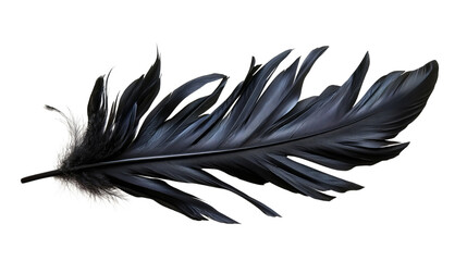Obraz premium Png of A stunning large black feather with intricate details and a soft white tip on transparent background.
