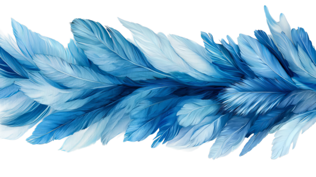 Png of A stunning array of blue feathers creating a serene and elegant effect on transparent background.