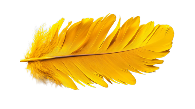 Png of Vibrant yellow feather showcasing delicate textures and a striking appearance on transparent background.