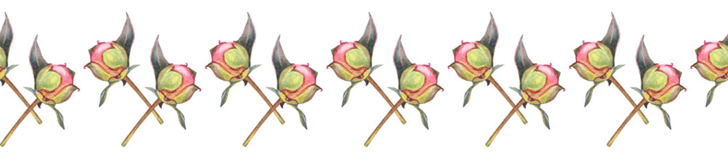 Watercolor seamless rim with bouquet pink bud peony summer flower on white background. Floral plant border with green leaves. Florist or wedding invite celebration frame. Wallpaper or wrapping