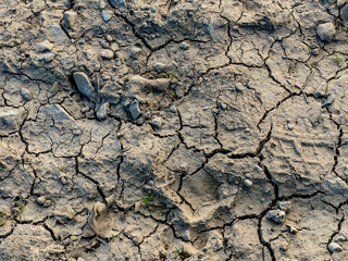Risse im trockenen Ackerboden